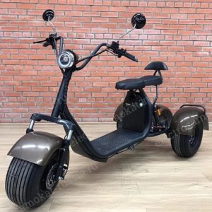 Трехколесный скутер GT Citycoco TRIKE GT-X7 pro