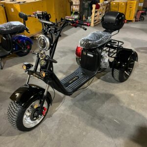 Трехколесный скутер GT Citycoco TRIKE GT-X12